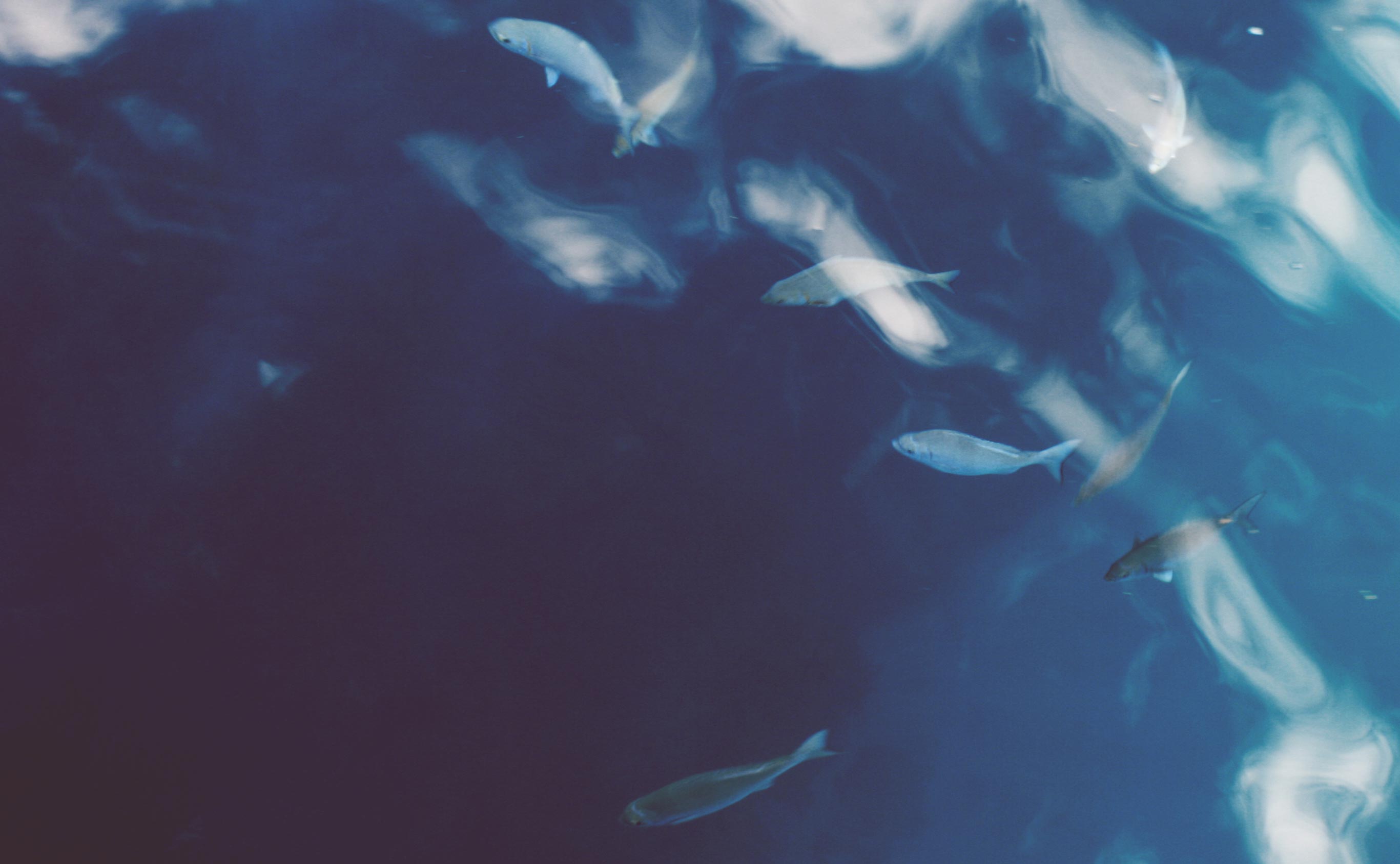 Cloudmen's deep knowledge of Odoo ERP Systems is like an ocean
